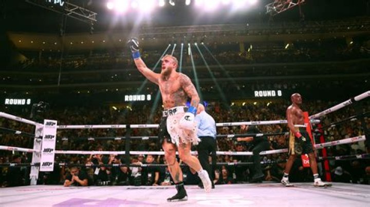 Discoveries And Insights Into A Rising Boxing Star