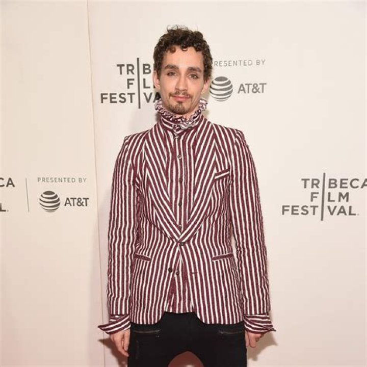 Robert Sheehan In 2024: A Promising Cinematic Year
