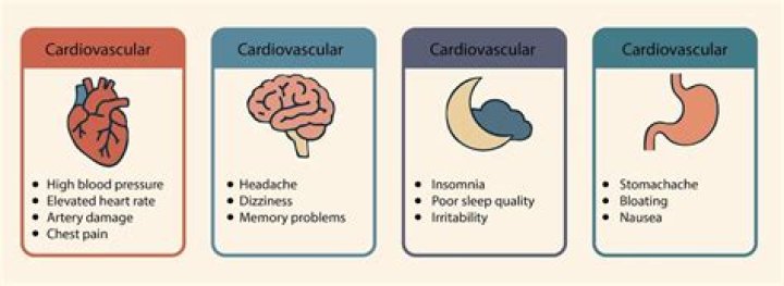 The Effects Of Adderall On Calcium Levels: A Comprehensive Guide
